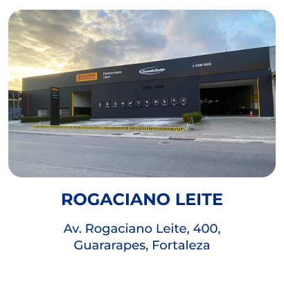 Rogacianoleite_converted